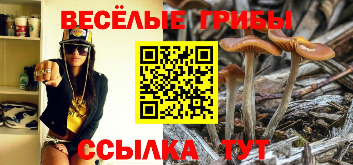 Галлюциногенные грибы ЛСД  Вход с VPN  Галлюциногенные грибы Psilocybine cubensis  Осинники 