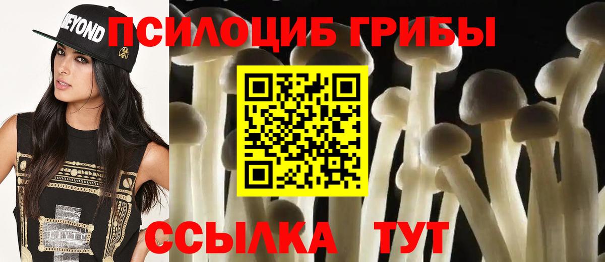 Галлюциногенные грибы Magic Shrooms Осинники
